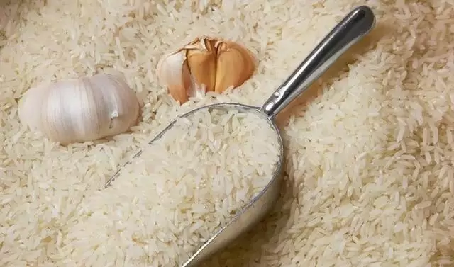 大蒜放大米里可以防米虫