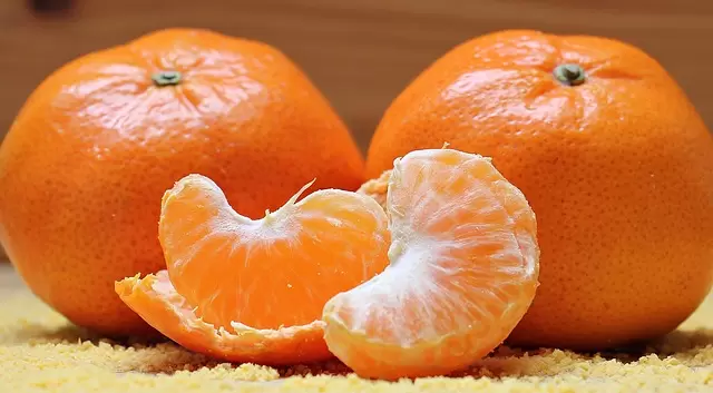 桔, 橙子, 段
