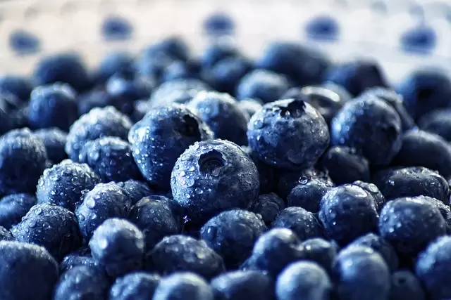 蓝莓, 水果, 健康