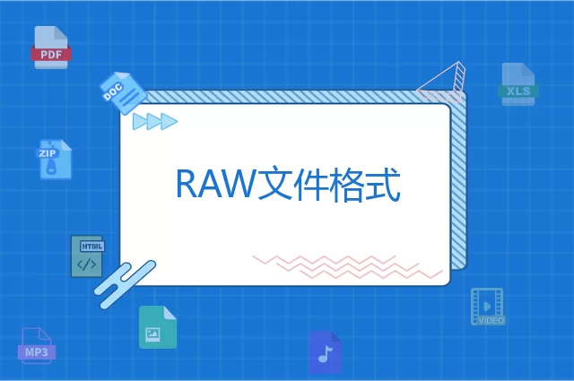 RAW是什么格式
