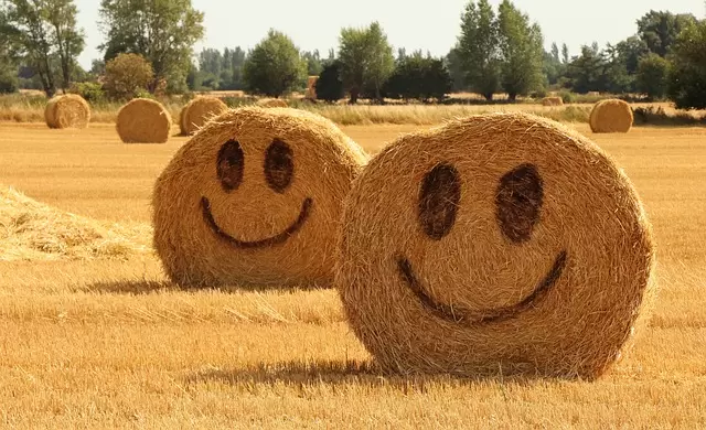 稻草堆砌的笑脸