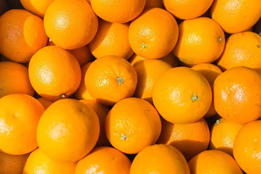 新鲜的橘子, 橙子