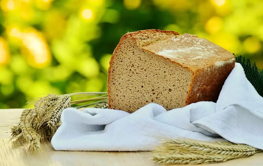 大麦，面包