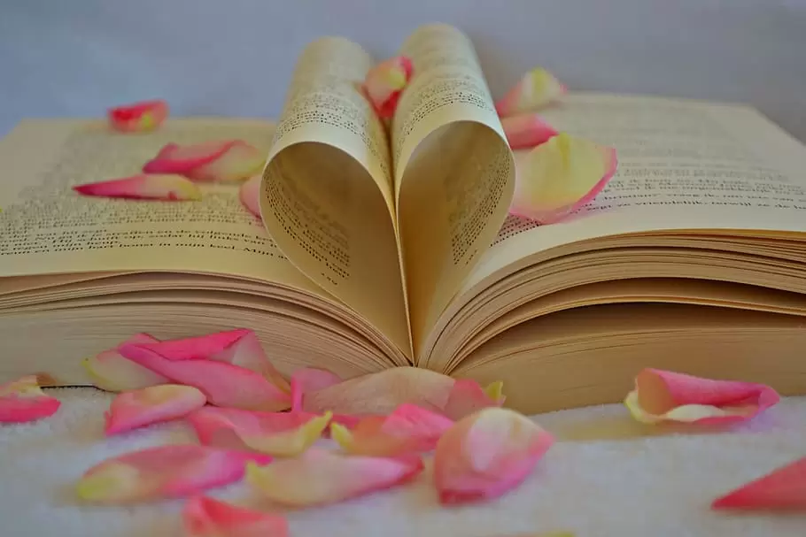 花瓣, 书, 心形