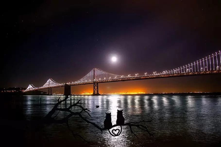 大桥，灯光，月亮